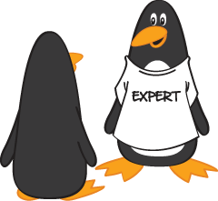 Two penguins, one wearing an "expert" t-shirt